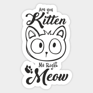 Are You Kitten Me Right Meow Funny Cat Pun Sticker